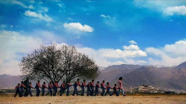 上海电视节来了，这份收视指南请收好 央视网报