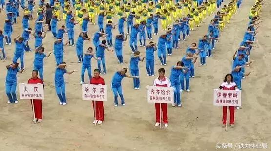 铁力林业局举办2018第四届日月峡国际端午全民健身踏青节暨第三届日月峡国际森林瑜伽全民健身养生节