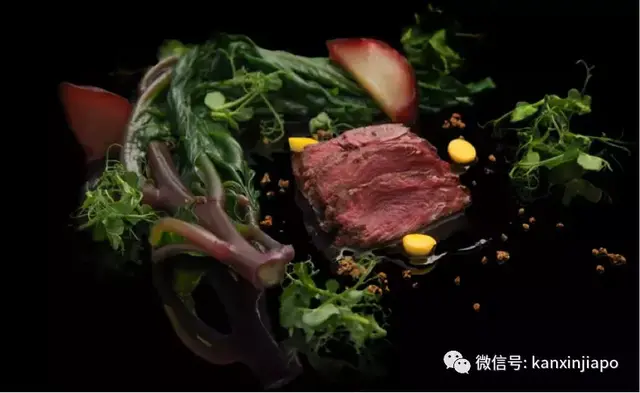 新加坡竟然还有这样的“特殊餐厅”