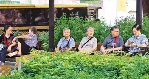 香港人寿命全球第一，超过日本！没想到秘诀竟然这么简单！