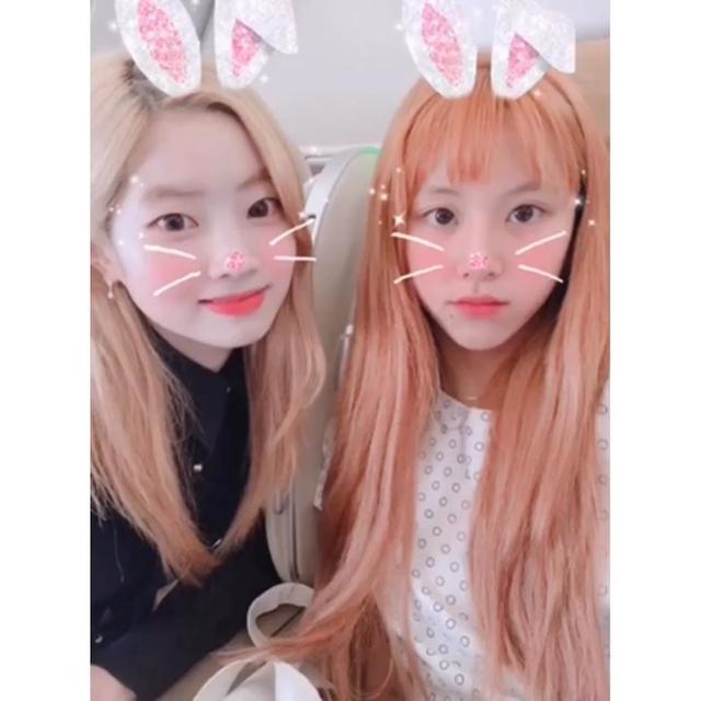 「TWICE」「分享」180616 甜美系小兔几两只寄来视频问候 两只都pick走可以吗
