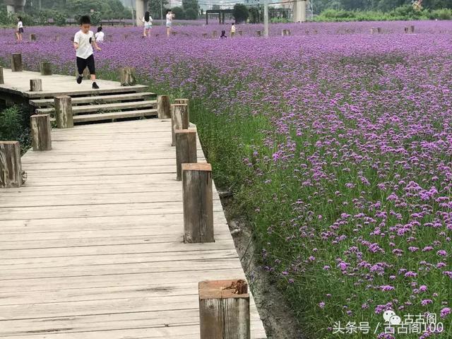 何斯路村：给你想要的乡间美好！