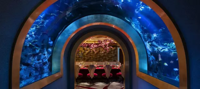 8家全球最in海底餐厅，吃过3家的算你厉害！