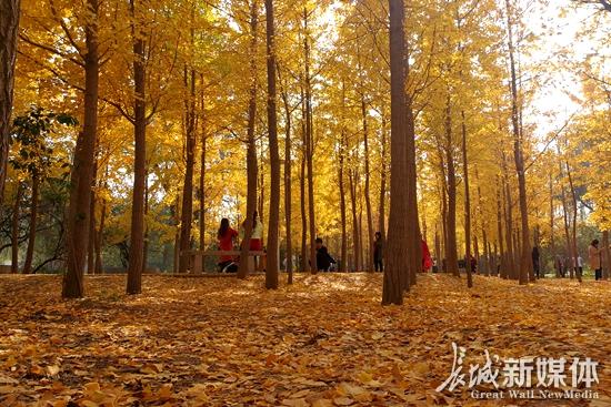 美得过分了！河北高校这些风景如此别致