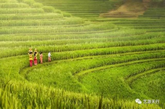 旅行丨有时只为拍到这震撼人心的大片儿~