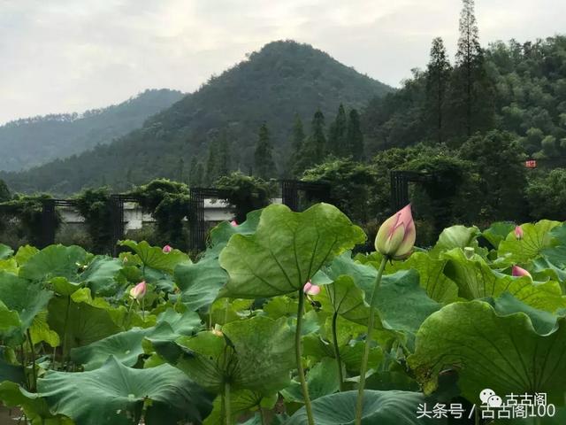 何斯路村：给你想要的乡间美好！