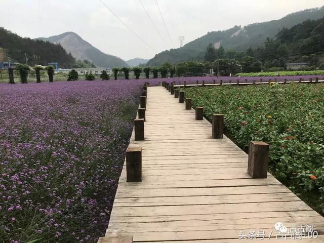 何斯路村：给你想要的乡间美好！