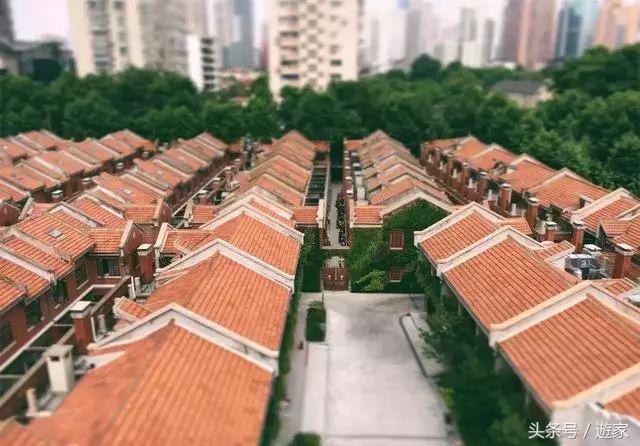 独家揭秘｜“小偷家族”上海24小时，住进一家看不见风景的酒店