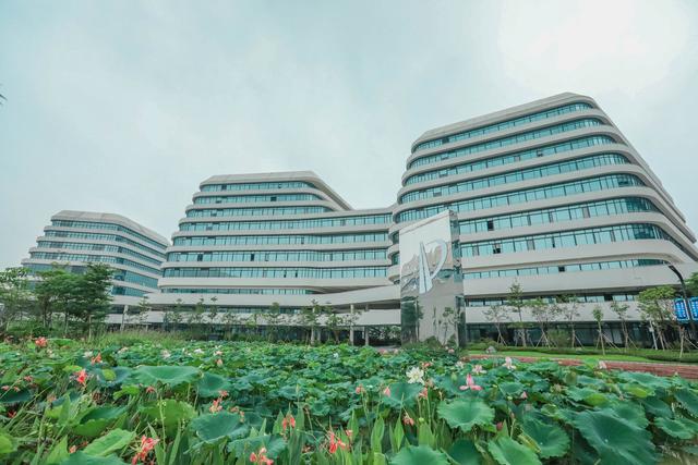 中新广州知识城 八年翻天巨变