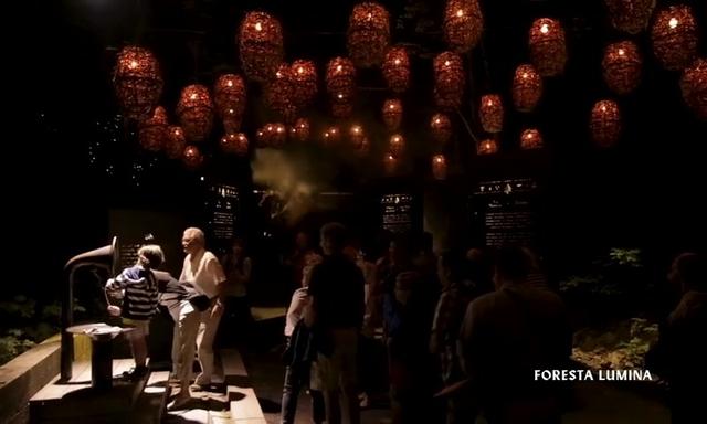 新加坡幻光雨林之夜真太太太太美了~ 今天开幕！