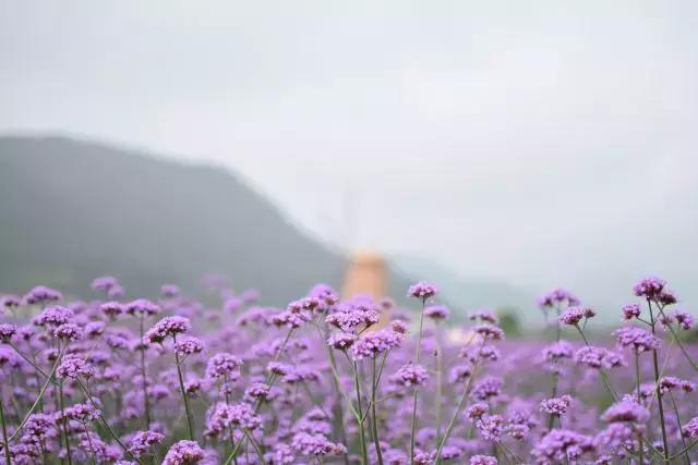 十一值得去，告别人山人海高票价