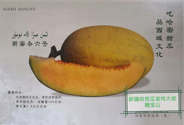 哈密瓜居然有150多种？哈密瓜大使魏宝山带你每天品一种