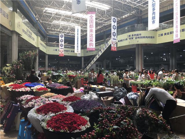 快上车 斗南邀你去看真实版“花花世界”