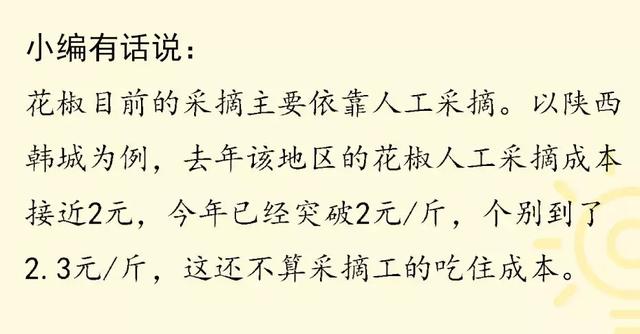 花椒树=摇钱树？一年苗二年条，三年四年把钱摇！