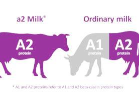 A2奶违法宣传被罚10万，其实它的问题比这个大得多！