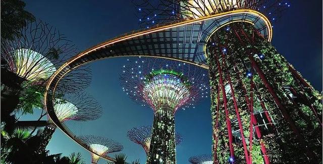 见证新加坡的美，只需一夜之间~