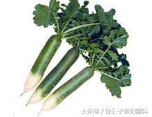 阜阳徐公子讲故事 埇桥名胜古迹