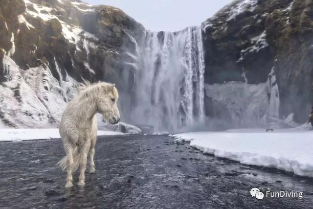 2018上半年最棒的旅行大片！多个震撼水下作品入选