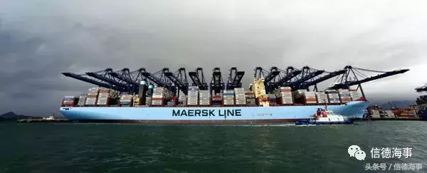 马士基贸易报告：印度药品因其质量的提高正拉动该国出口