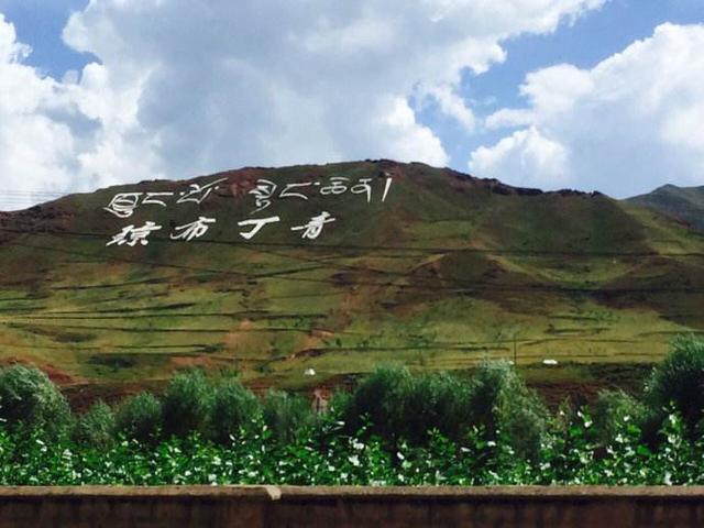 川企携手丁青打造国内首个高山玫瑰小镇