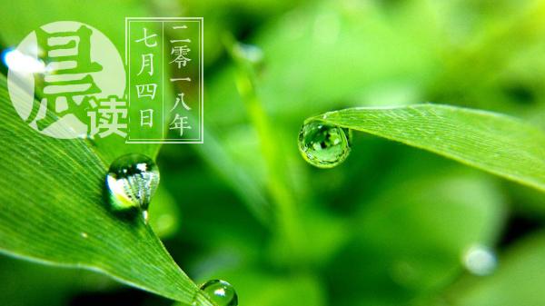 晨读｜点球大战巴卡失点球，英格兰5-4哥伦比亚，世界杯8强正式出炉