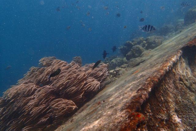 打捞二战日本沉船，曾载有40吨黄金，海底打捞却见怪事！