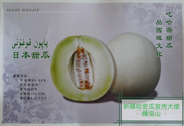 百瓜传奇 ‖系列故事，与您分享150多种哈密瓜的甜蜜