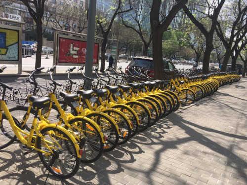 一个月撤离7个国家！ofo海外退烧不只是因为水土不服