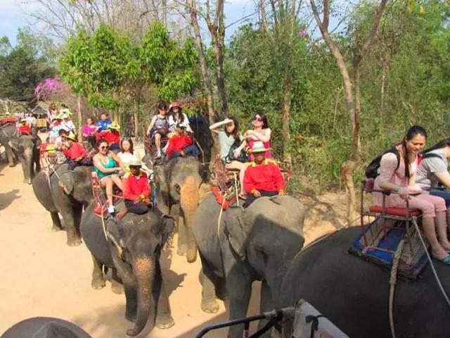 泰国旅游很乱很危险，但挡不住中国游客