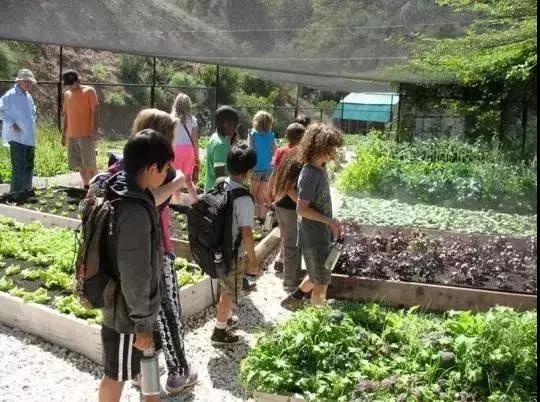 专家：素食是对儿童最好的礼物，素食学校将会越来越多！