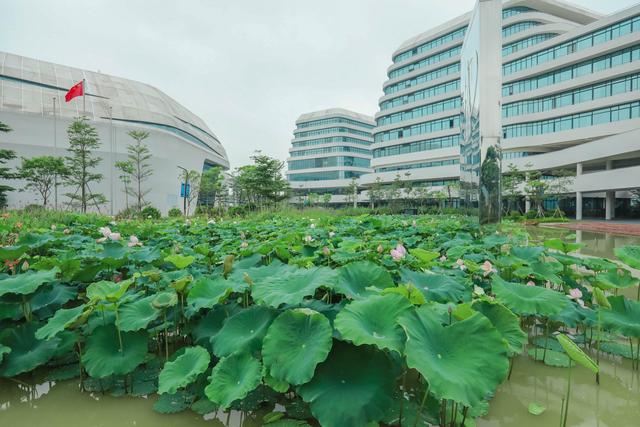 中新广州知识城 八年翻天巨变