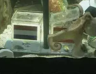 真正的世界，可能和你想的不一样