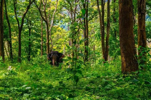 《孤独星球》公布2018亚洲十佳旅行目的地，中国四川上榜了