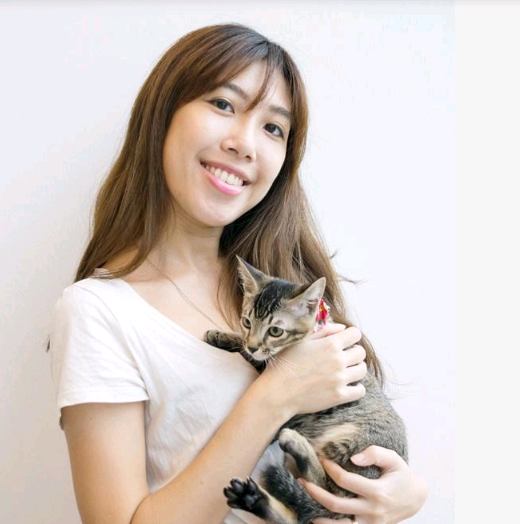 真会赚钱！新加坡女郎创办“猫咪酒店” 还提供猫咪安老服务