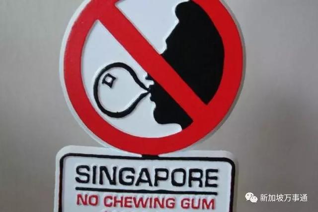 原来新加坡本土人是这样看待他们奇葩法律的