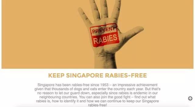 新加坡不给孩子接种狂犬疫苗？