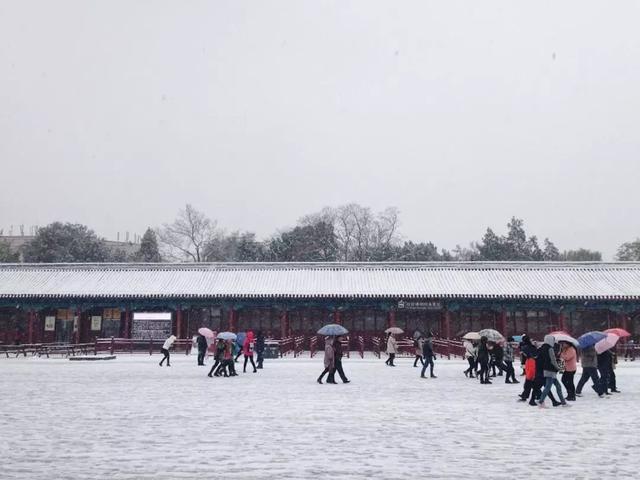 300飞泰国，500飞韩国，特价机票其实不难买