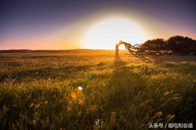 这是澳大利亚最真实的样子