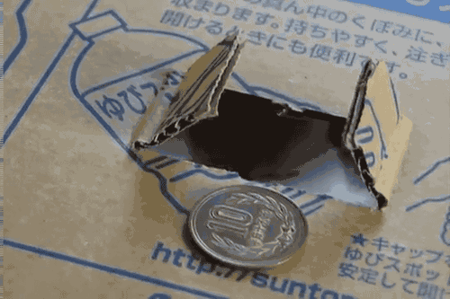 近期战利品｜几千块就能买大牌包，还附送一只猫