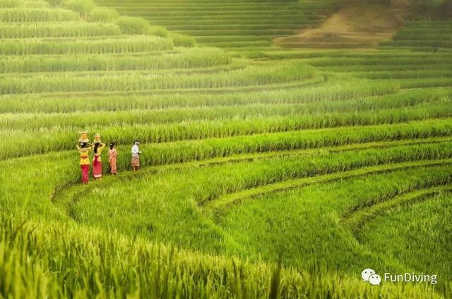 2018上半年最棒的旅行大片！多个震撼水下作品入选