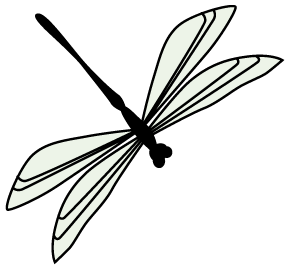 Star·夜读｜我的师大情结
