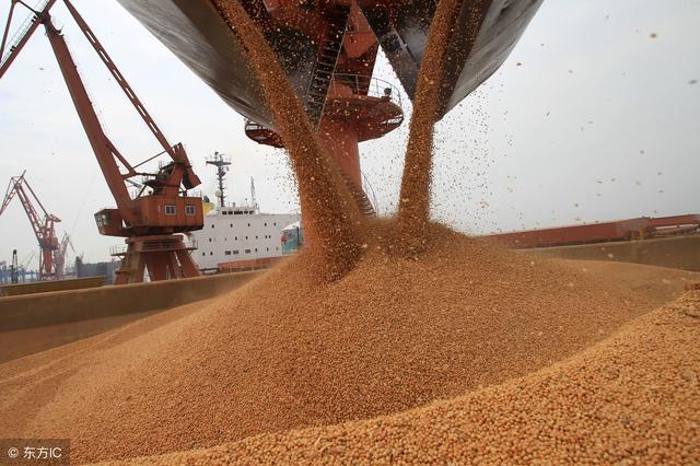中国不买了，美国大豆卖不出！巴西坐地起价不料中国转向他国购买