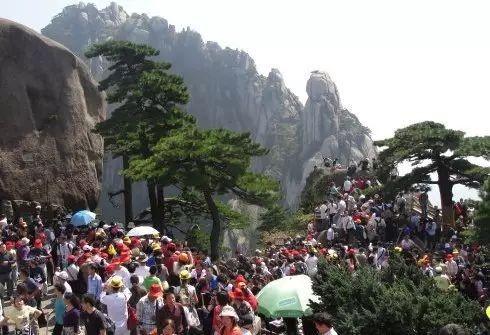 你走过最长的路，都长不过“夺命低价团”的套路