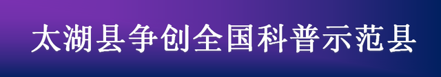 量子力学有何用？潘建伟：可初步回答宇宙和人类起源