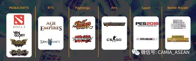 2018年越南电子竞技市场报告