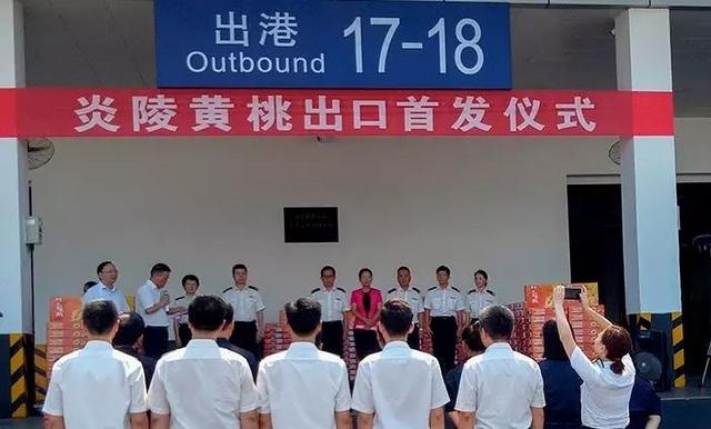 特大喜讯！炎陵黄桃正式走出国门，出口新加坡！