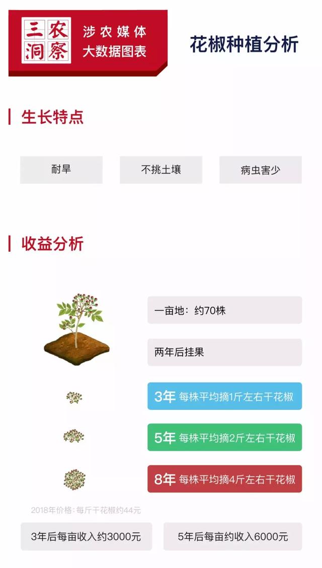 花椒树=摇钱树？一年苗二年条，三年四年把钱摇！