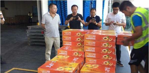 炎陵黄桃首次走出国门！出口新加坡订单1.5万公斤