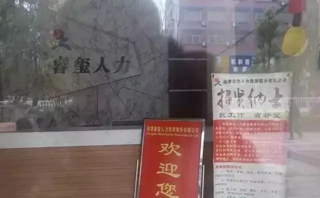 月薪16000？两个浙江男人去韩国种萝卜，“淘金”就这么简单？