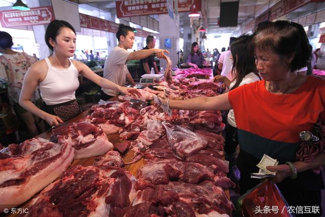 8月9日畜牧早新闻：新加坡暂停进口辽宁猪肉产品，进口须额外证明